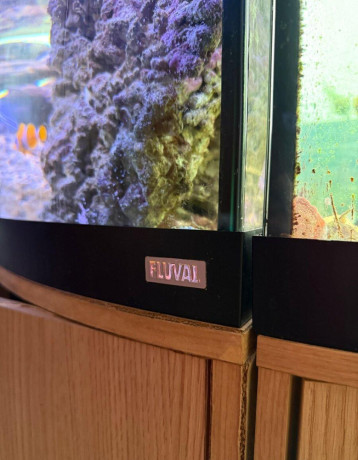rohove-akvarium-200l-big-4