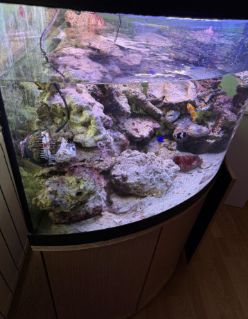 rohove-akvarium-200l-big-3