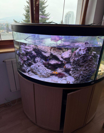 rohove-akvarium-200l-big-1