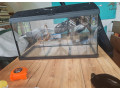 aquarium-60x30x30-small-0