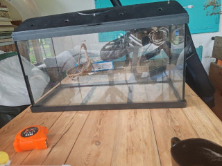 aquarium-60x30x30