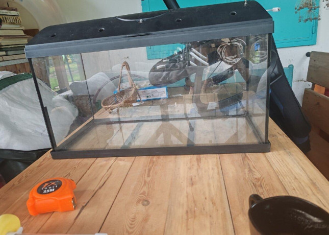 aquarium-60x30x30-big-0