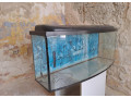 darujem-250l-akvarium-small-0