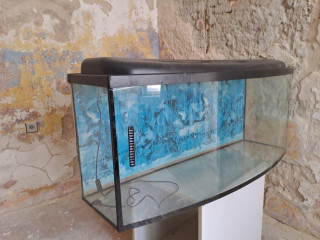 darujem-250l-akvarium