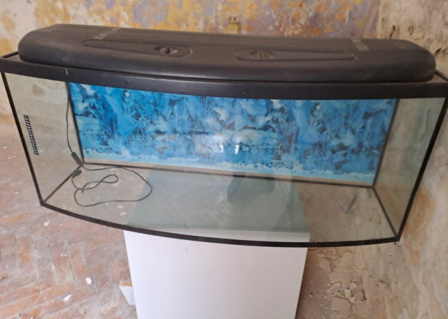 darujem-250l-akvarium-big-1