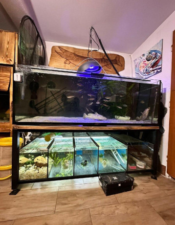 akvarium-big-0