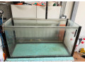 akvarium-darujem-small-1