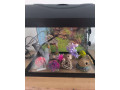predam-akvarium-s-komplet-vybavenim-small-0