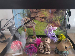 predam-akvarium-s-komplet-vybavenim