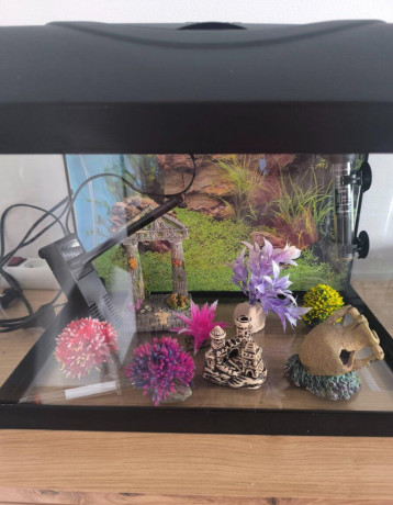 predam-akvarium-s-komplet-vybavenim-big-0