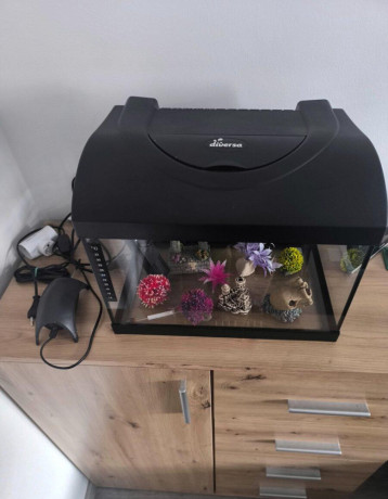 predam-akvarium-s-komplet-vybavenim-big-1