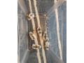 skrecok-roborovsky-small-2