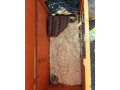 predam-small-3