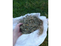 lucne-seno-pre-drobne-cicavce-balene-4-kg-posielam-postou-small-4
