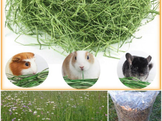 lucne-seno-pre-drobne-cicavce-balene-4-kg-posielam-postou