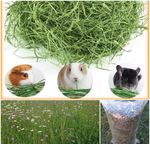 lucne-seno-pre-drobne-cicavce-balene-4-kg-posielam-postou-big-0