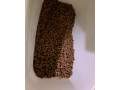 versele-laga-small-2