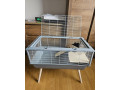predam-vacsiu-klietku-small-1