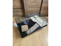 predam-klietku-small-0