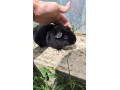 us-teddy-samcek-small-1