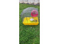 predam-klietku-small-1