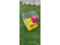 predam-klietku-small-0