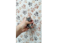 potkaniky-s-pp-small-1