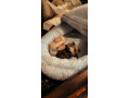 osmak-degu-small-0