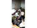predam-mlade-3-mesacne-zajace-small-4