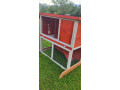 klietka-pre-zajace-kuriatka-small-1