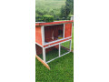 klietka-pre-zajace-kuriatka-small-3