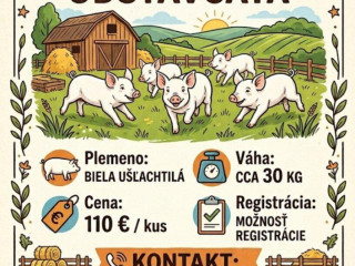 odstavcata-prasiatka