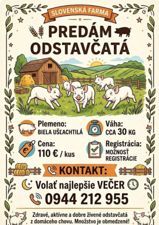 odstavcata-prasiatka-big-0