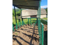 krmelec-na-seno-pre-dobytok-small-3