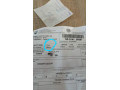 jalovica-slovenska-strakata-small-4