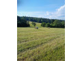 velke-baliky-sena-small-3