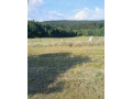 velke-baliky-sena-small-1