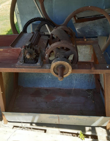 seckovica-big-0
