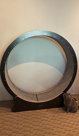 vevor-koleso-pre-macky-132-cm-52-big-0