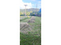 darujem-seno-small-1