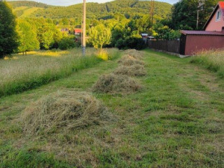 darujem-seno