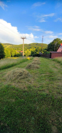 darujem-seno-big-0