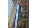 mam-napredaj-akvarium-small-4