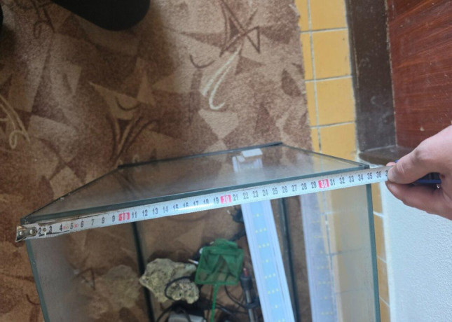mam-napredaj-akvarium-big-3