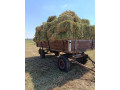 lucerka-small-2