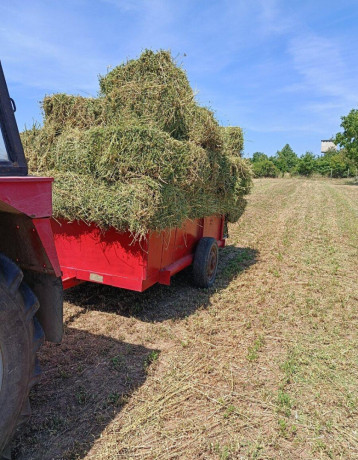 lucerka-big-1