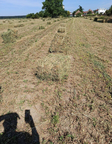 lucerka-big-0