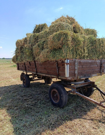 lucerka-big-2