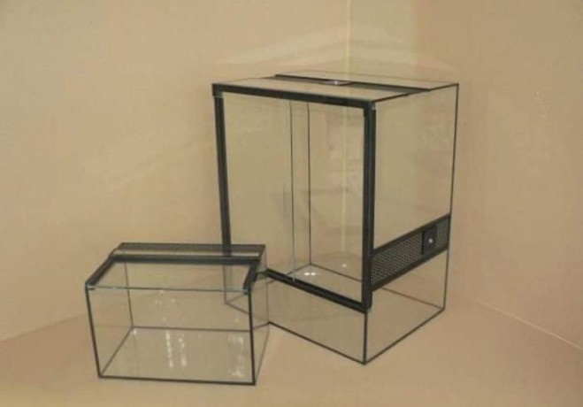 predam-novy-terarium-big-1