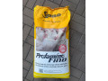 sano-qqrq-fino-small-2